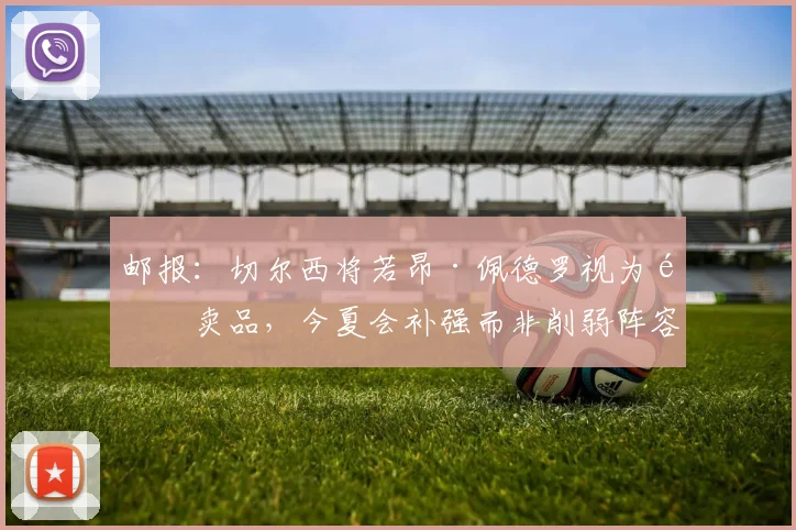 邮报：切尔西将若昂·佩德罗视为非卖品，今夏会补强而非削弱阵容
