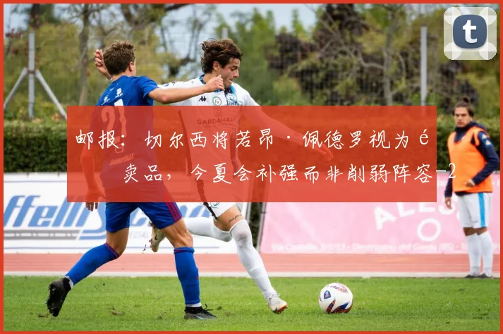 邮报：切尔西将若昂·佩德罗视为非卖品，今夏会补强而非削弱阵容